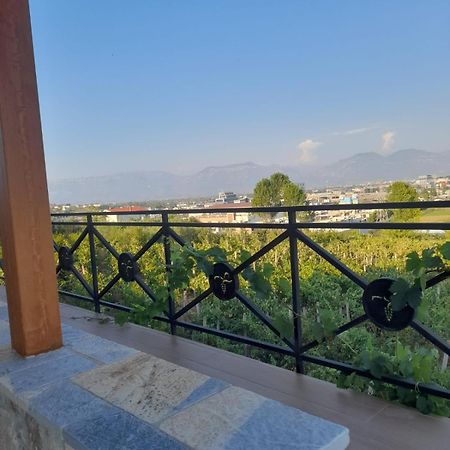 Vila Shehi Guesthouse And Winery Tirana Esterno foto