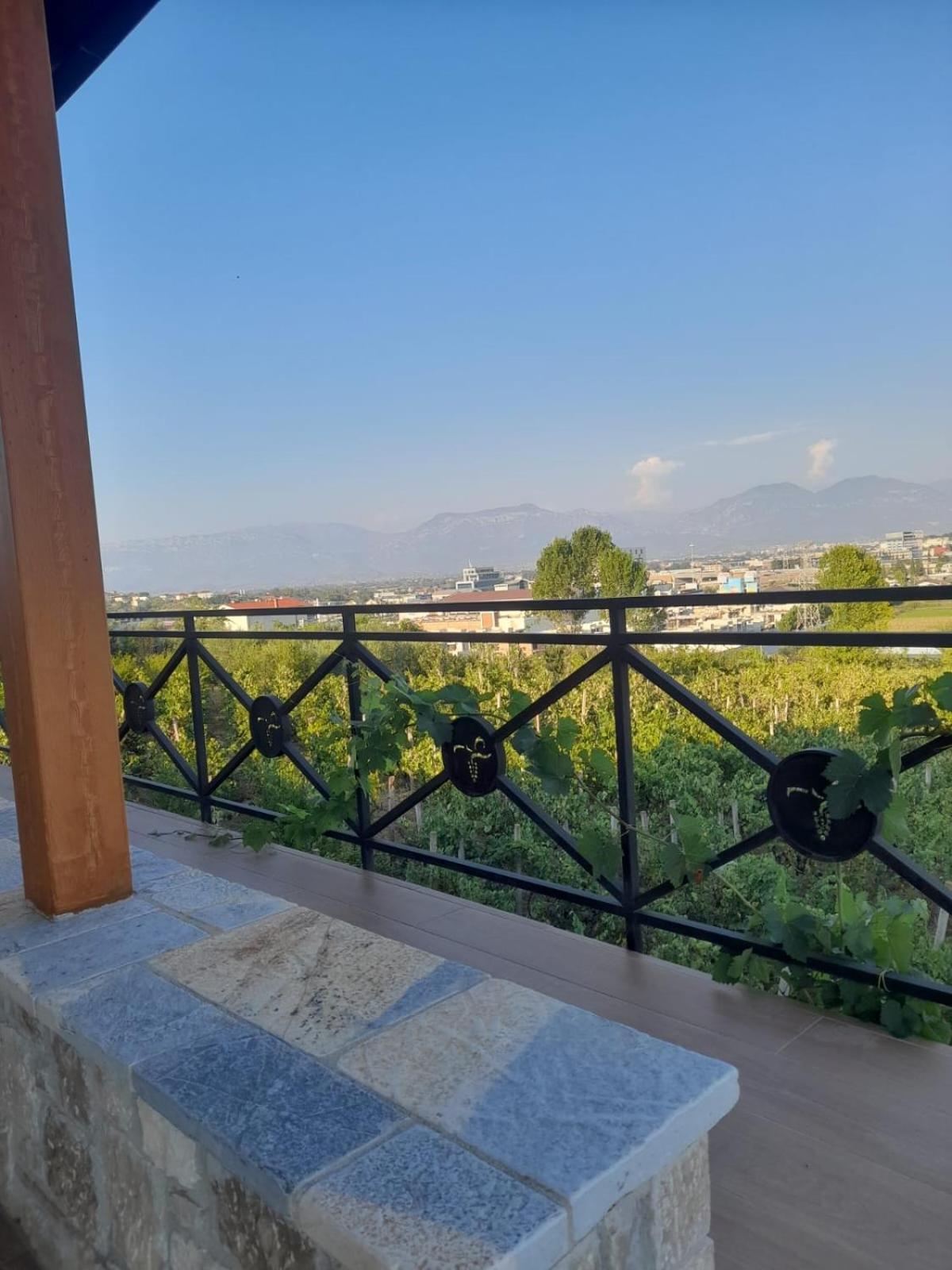 Vila Shehi Guesthouse And Winery Tirana Esterno foto