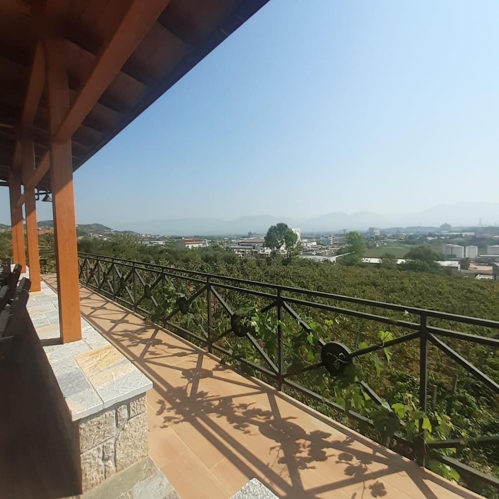 Vila Shehi Guesthouse And Winery Tirana Esterno foto